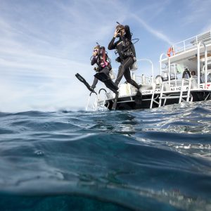 Boat Diver