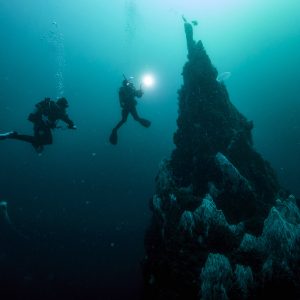 Deep Diver