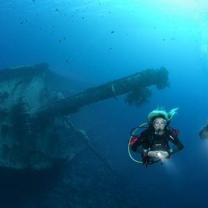 Refresher, pool and open water dives
