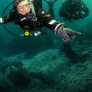 Drysuit Diver