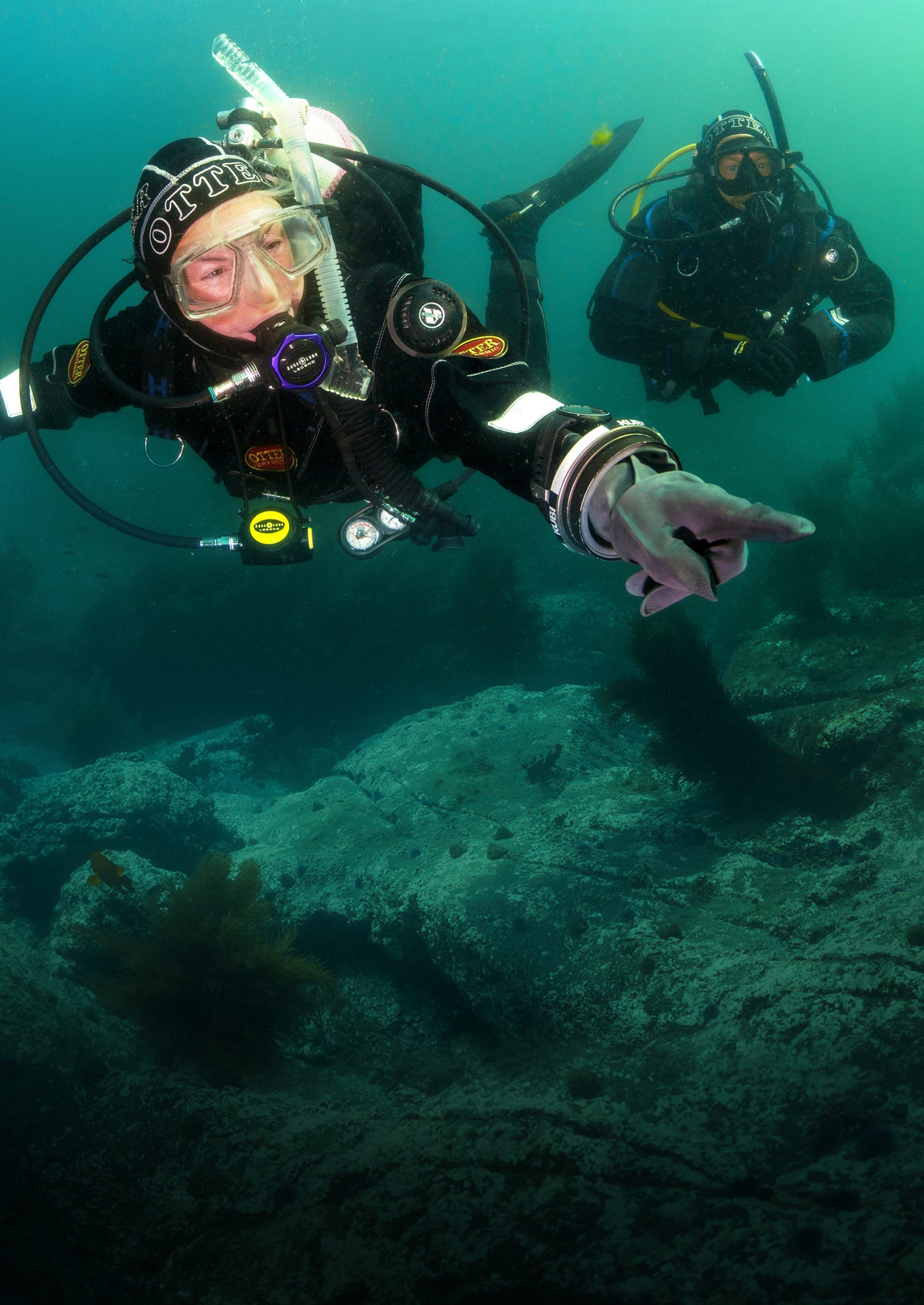 Drysuit Diver