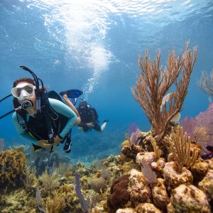 Open Water Diver