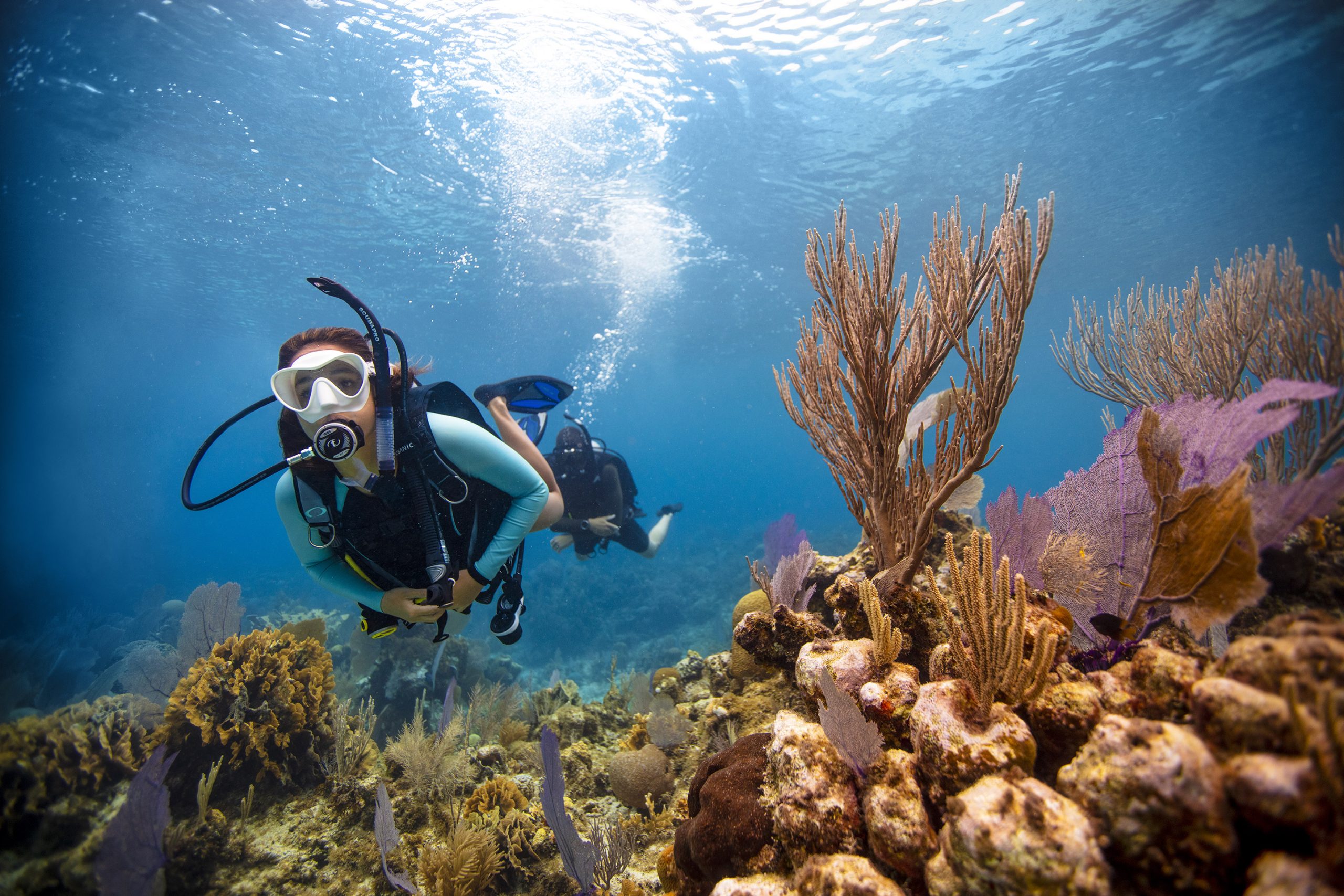 Open Water Diver Open Water Diver