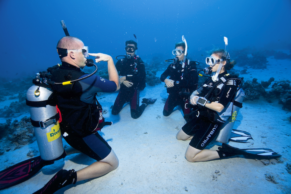 Open Water Diver Open Water Diver