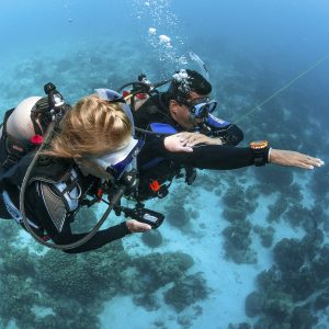 Underwater Navigator