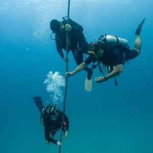 three divers practicing a very safe descent
