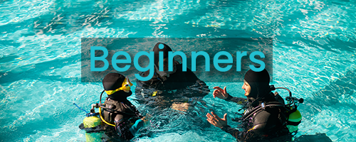 Beginner dive Classes