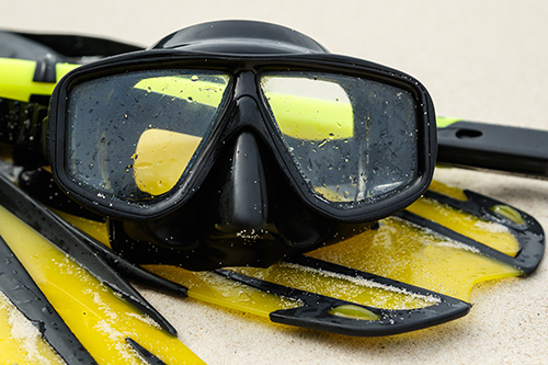 diving mask and fins